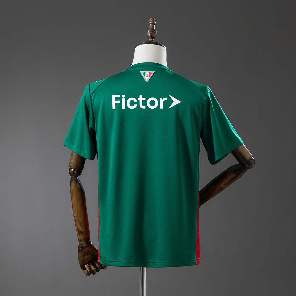 Palmeiras Principal 2025/26 — costas